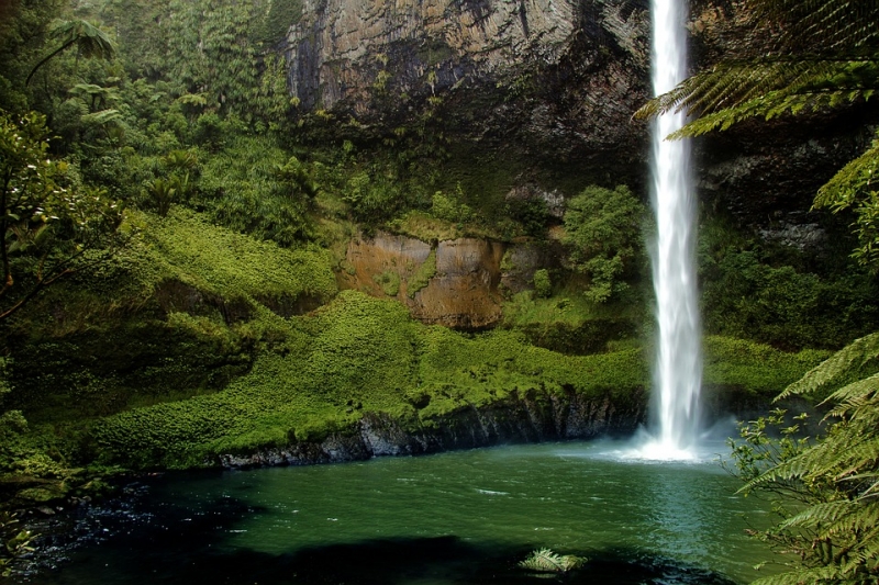 Biotechnologies Limited, believes in supplying natural and environmentally friendly bioremediation products.